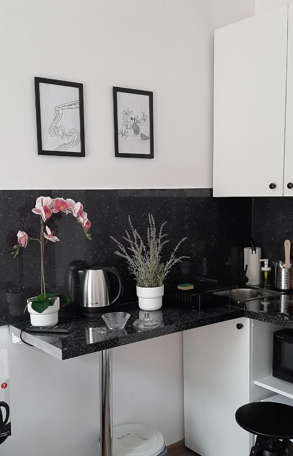 Lion Apartments - Laba Cracovie Extérieur photo